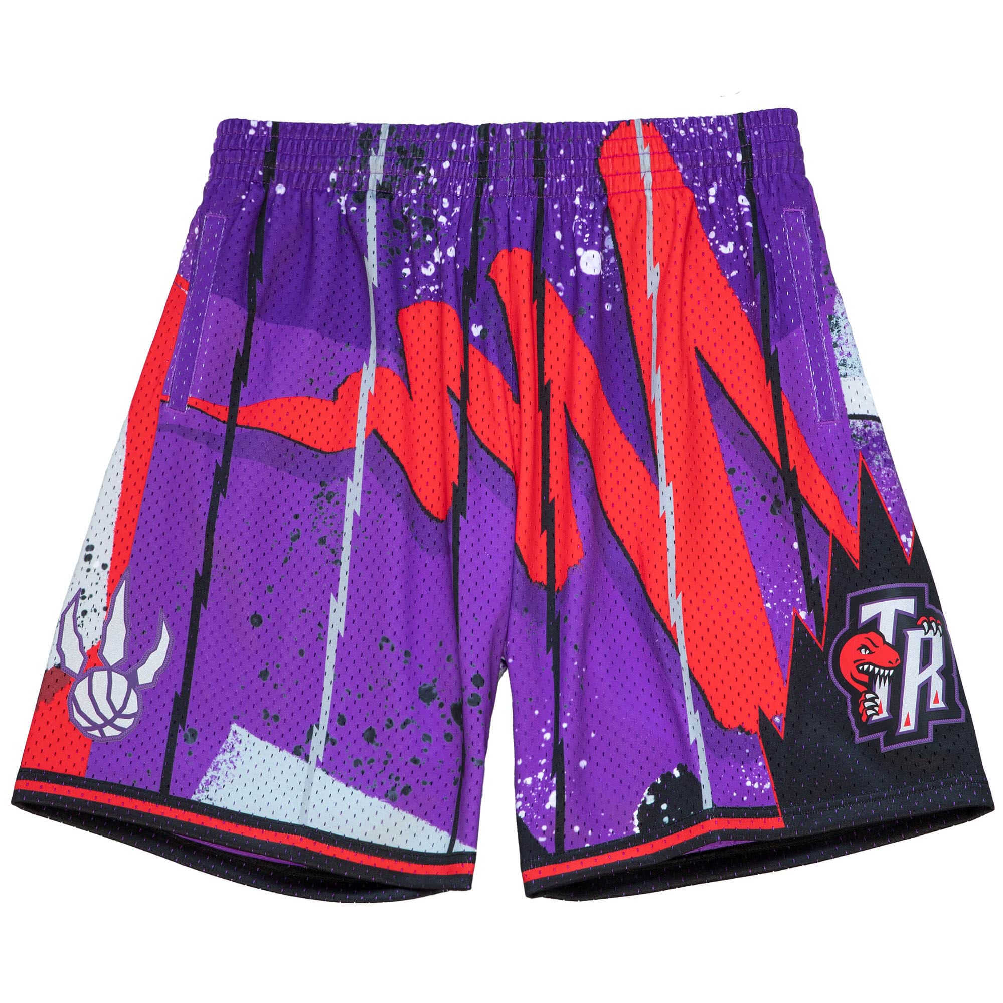 Mitchell & Ness NBA TORONTO RAPTORS SWINGMAN SHORTS - Club wear - purple 