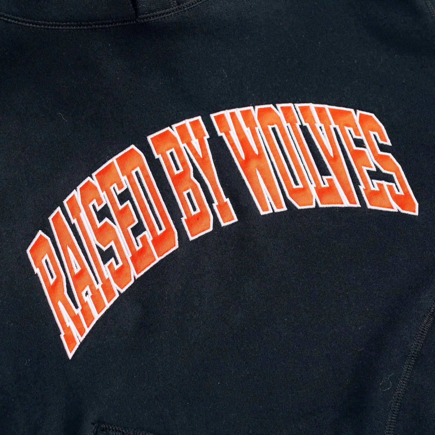 Raised By Wolves Collegiate Two-Pocket Snap Hoodie Black - SWEATERS - Canada