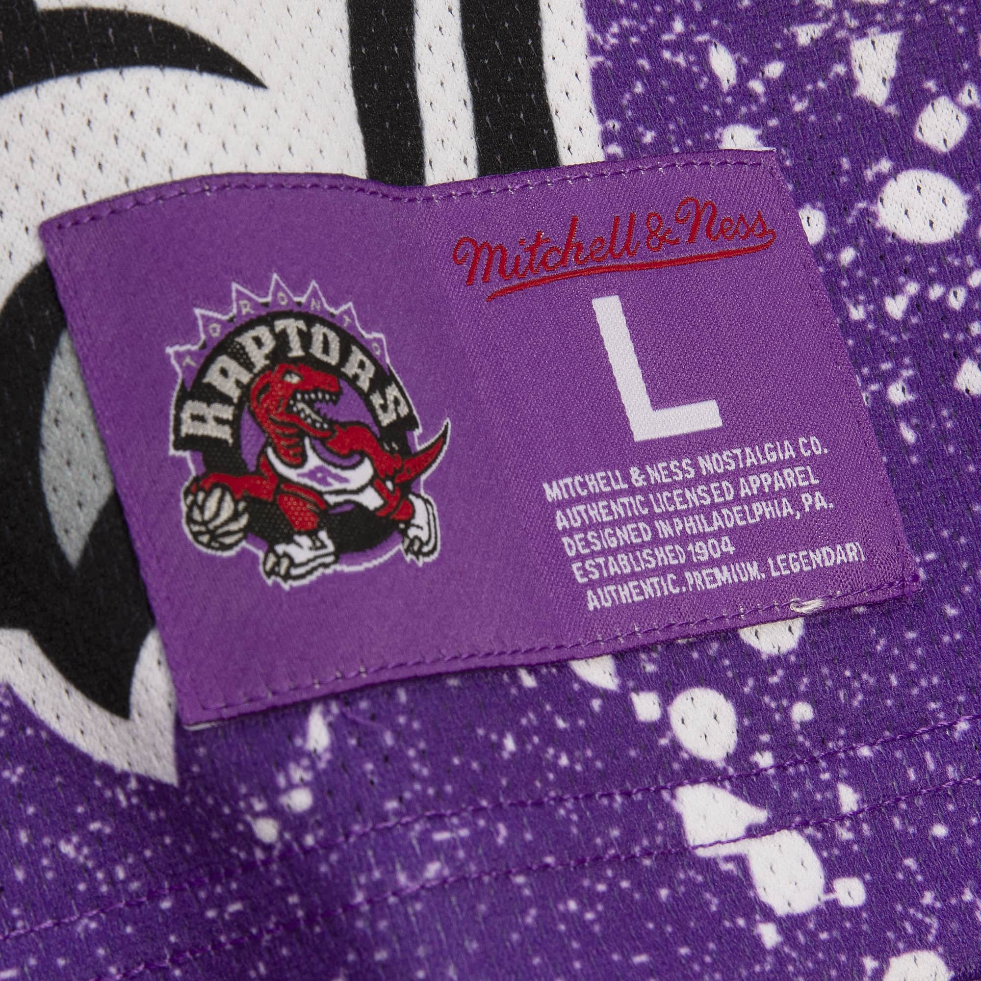 Toronto Raptors Mitchell & Ness Jumbotron 3.0 Mesh V-Neck T-Shirt - Purple